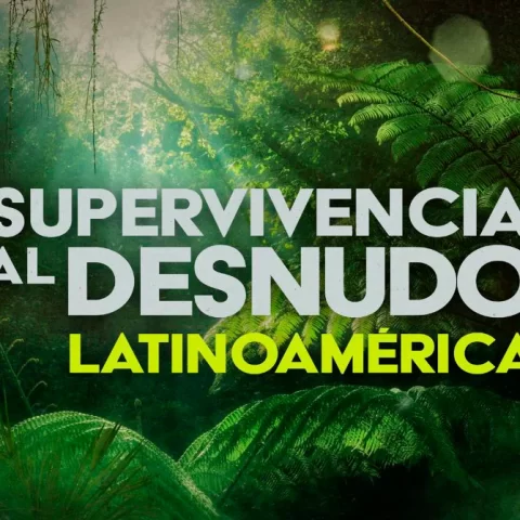 https://merakicasting.com/portfolio-item/supervivencia-al-desnudo-latinoamerica/